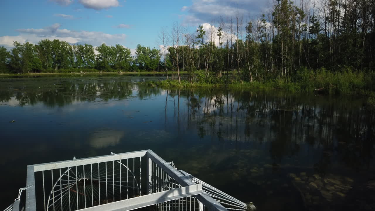 Udvendig optagelse, der vipper op fra karpedammen til en udsigt over en sø i Tommy Thompson Park.
