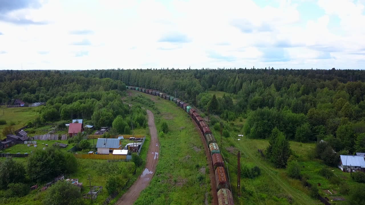 Train Passing Through Rural Forest