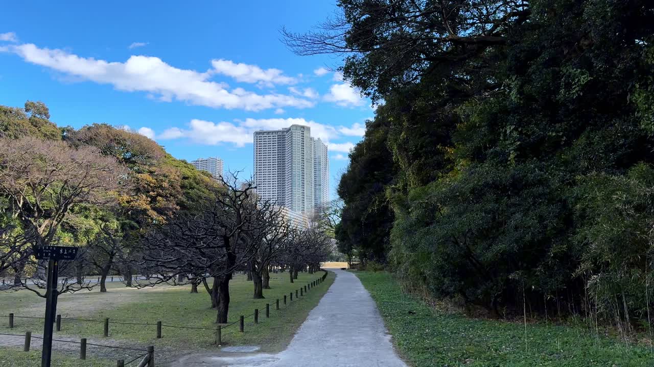 A serene winter day at Hama Rikyu Gardens with city skyscrapers and trees