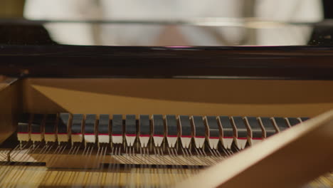 professional pianist playing grand piano