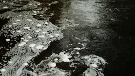 bubbles of foam floating on the surface of water in the river north esk swirl together to form a constantly changing pattern where the faster current meets a still section of water