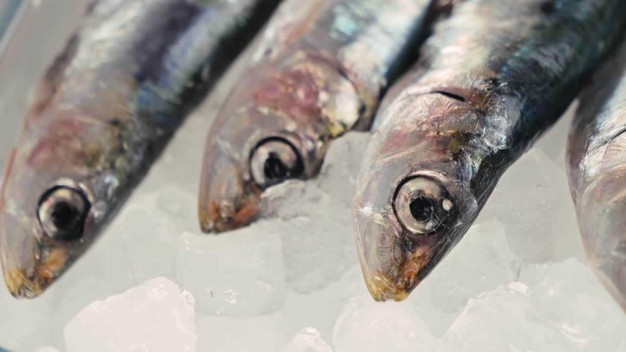 Fresh Sardines on Ice