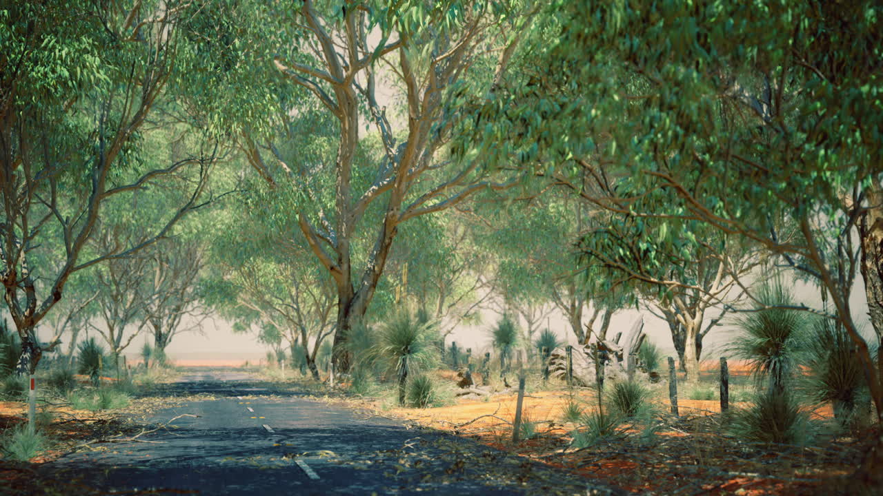 Exploring a serene tree lined road in a tranquil rural landscape during daytime