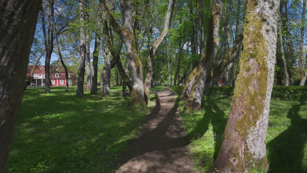 прогулка в старом парке в весенний день