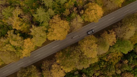 Autumn-country-road-with-driving-cars-in-both-directions---zoom-out-up-in-the-air,-captured-by-a-drone,-pedestal-shot