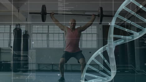 Animation-of-data-processing-and-dna-strand-over-caucasian-man-lifting-barbell-on-gym