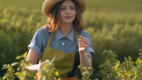 Retrato-De-Una-Mujer-Joven-Podando-Arbustos-En-Una-Plantación