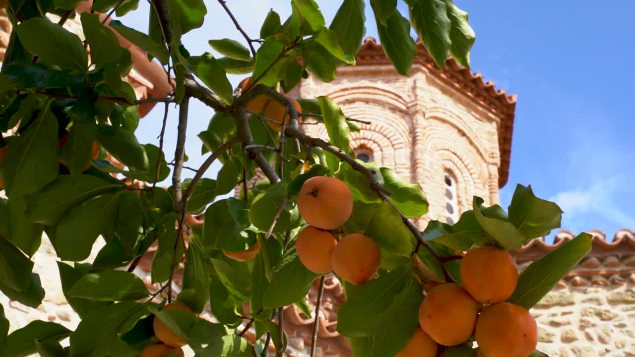 un árbol de naranja cubierto de frutas frente a un monasterio en grecia