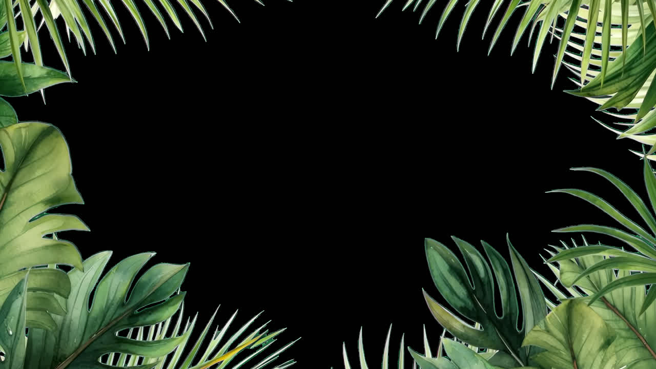 Tropical leaves border design animated overlay, transparent 4K video, alpha channel, ProRes 4444
