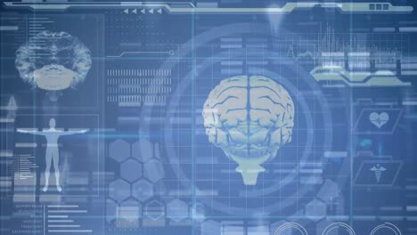 animación del cerebro con tecnología y procesamiento de datos