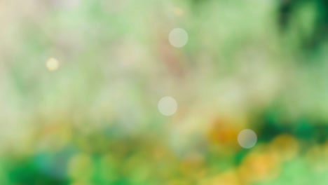 abstract spring background with bokeh