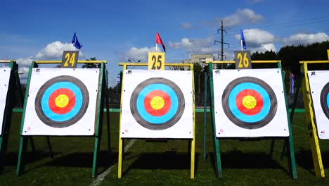 targets for archery. shooting in the summer.