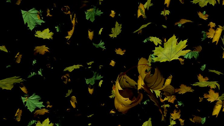 Falling autumn leaves loop