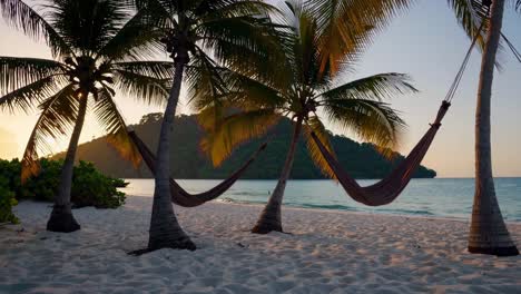 tropical beach sunset with hammocks