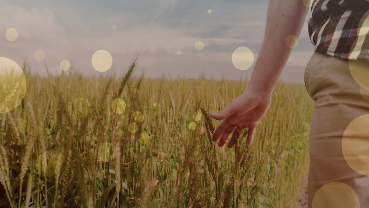 초원에서  ⁇ 고 있는 백인 남성 위에 있는 빛의 반점의 애니메이션