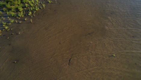 Aerial-footage-of-Cedar-Creek-Lake-in-Texas