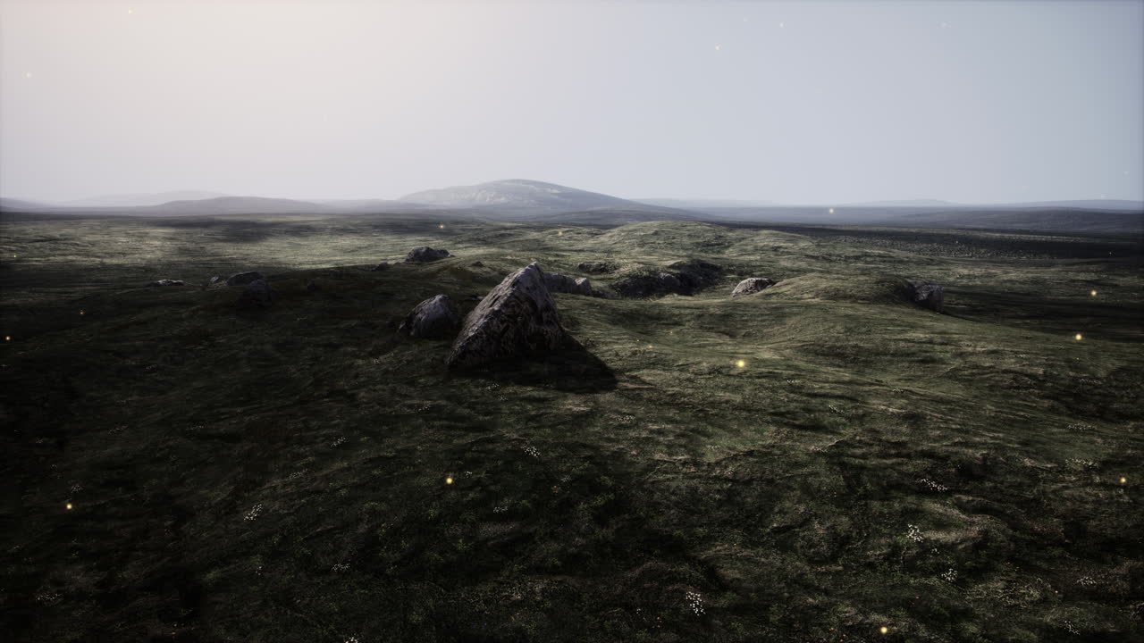 paisaje sereno de pastizales con partículas brillantes