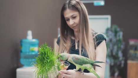 Una-Joven-Hermosa-Sostiene-Un-Loro-En-Su-Mano-Que-Está-Comiendo-Hierba