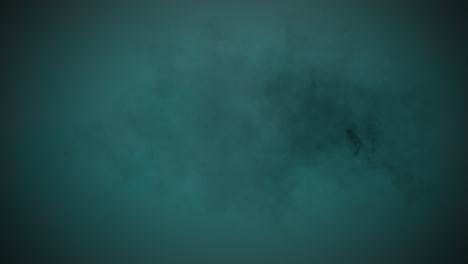 animation of cloud of black smoke appearing and disappearing on green background