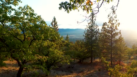 Aerial-view-of-the-Rogue-Valley-in-Southern-Oregon-at-sunset