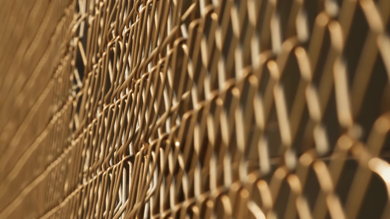 Grass no action observed static scene, in natural outdoor setting with sunlight, with grass, with natural grass texture, from a close-up perspective perspective, with brown, yellow accents.