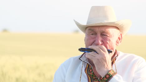 closeup video of a lonely old man sitting in the middle of a field and playing an organ closeup video of a lonely old man sitting in the middle of a field and playing an organ ukrainian grandfather in an embroidered shirt