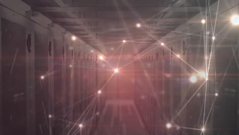 animación de la red de conexiones
