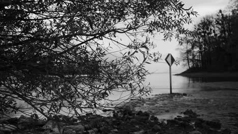 a moody black and white image capturing a tranquil moment by the water's edge. a lone signpost stands amidst the calm waters, framed by the intricate branches of a tree.