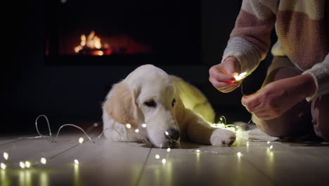 una mujer se está preparando para decorar su casa con guirnaldas, su perro yace a su lado. una chimenea está ardiendo en el fondo - víspera de navidad