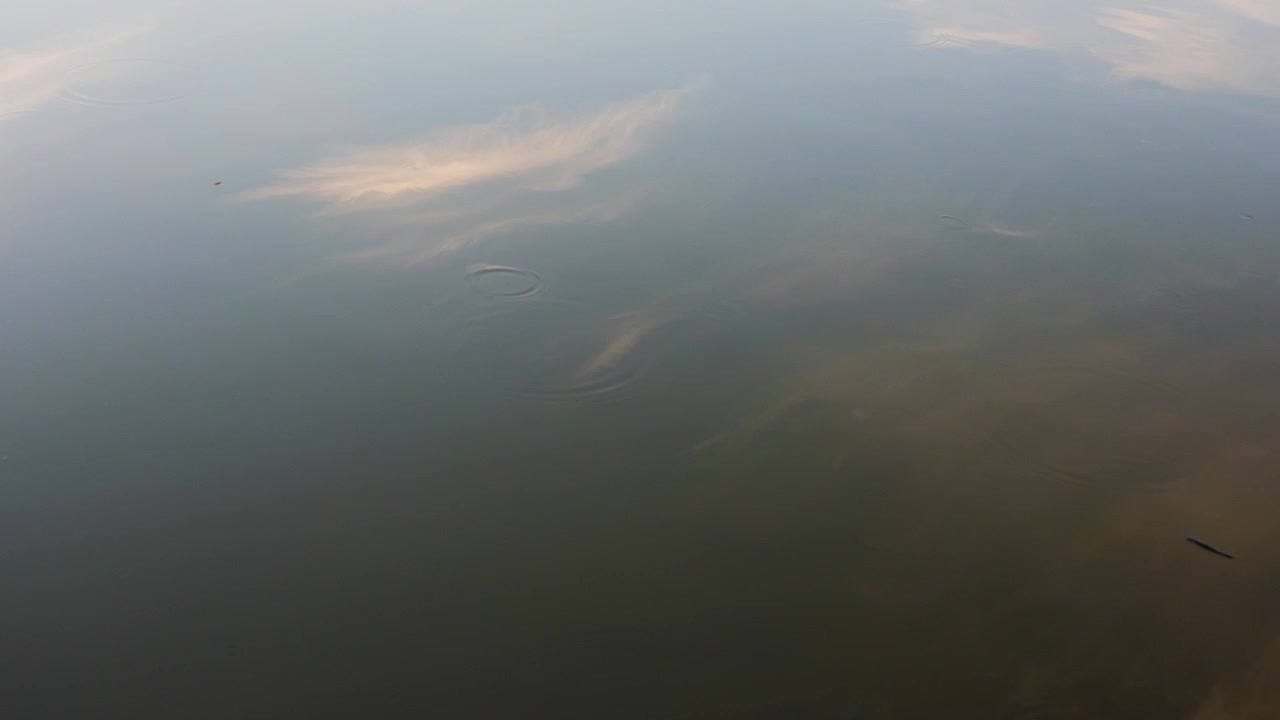 Roligt søvand, der reflekterer bløde skyer og aftenshimlen, med en fredfyldt naturkulisse udendørs.