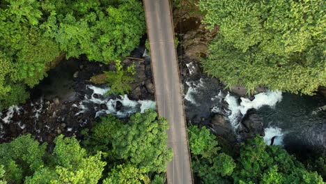 Autos-Fahren-über-Eine-Straßenbrücke,-Die-In-Tropischer-üppiger-Vegetation-Versteckt-Ist