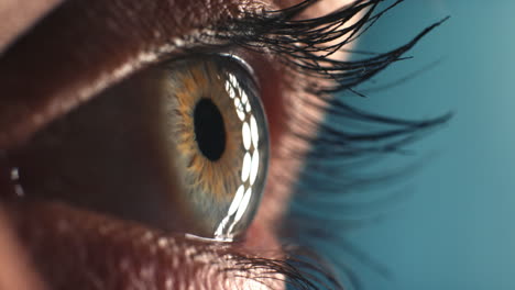 Nahaufnahme-Eines-Makroblauen-Auges,-Das-Neugierig-Blinkt-Und-Licht-Reflektiert,-Das-Auf-Der-Iris-Reflektiert-Wird