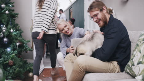 regla número uno en nuestro hogar: amar a los perros
