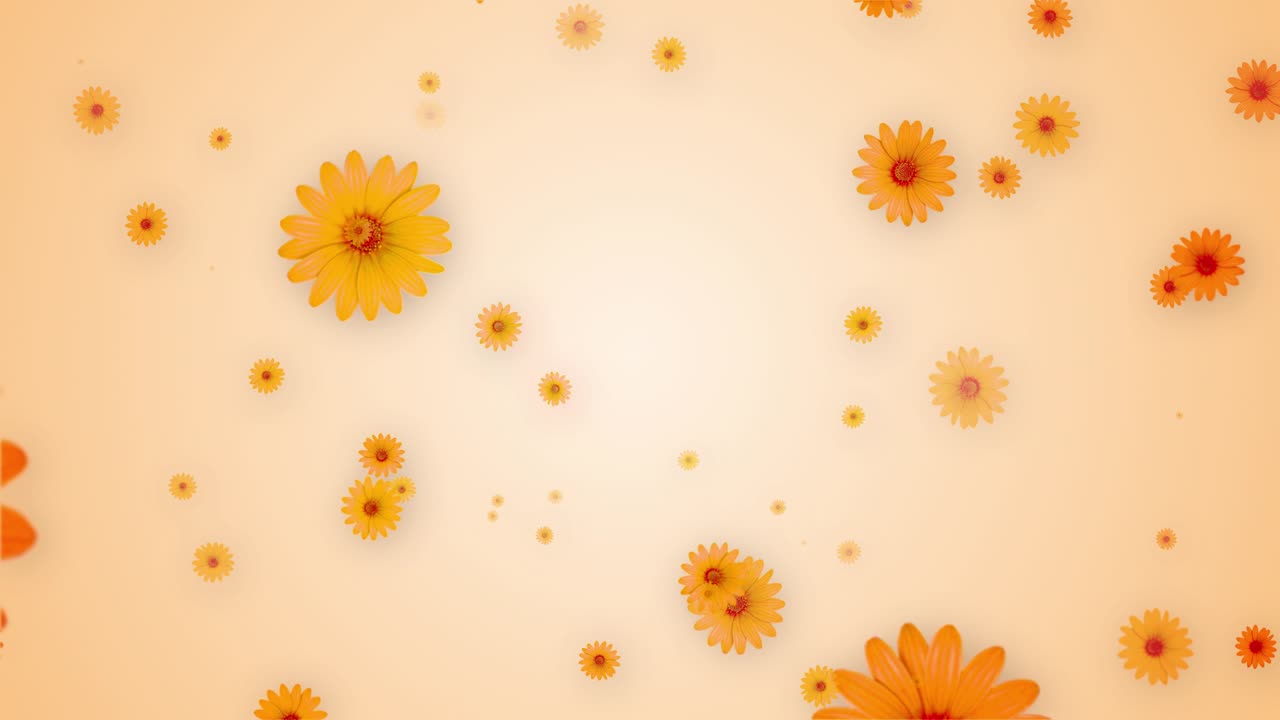 Beautiful marigold orange flowers fly in your direction backdrop concert decoration fabulous buds