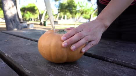 woman places pumpkin on the table and begins to cut the part of the lid