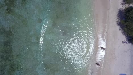 walk on the beach lying on colorful blankets wonderful aerial view flight bird's eye view drone footage of gili t beach bali indonesia at sunny summer 2017 cinematic view from above by philipp marnitz