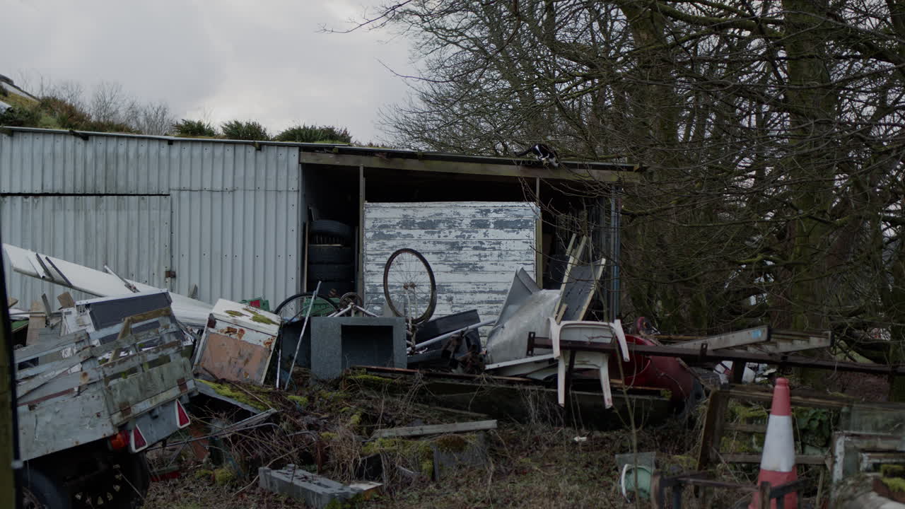 버려진 집의 지붕에 있는 고양이, 주위의 쓰레기, 손에 는 넓은