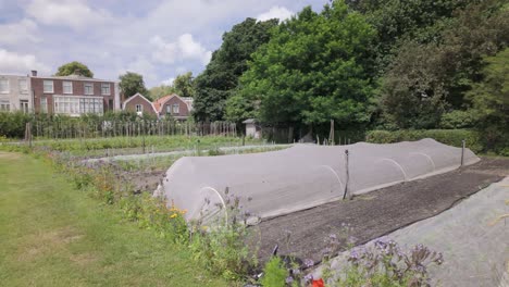 A-Row-Cover-that-Shields-the-Plants-Beneath-it-in-an-Urban-Community-Garden-in-Leiden,-South-Holland,-Netherlands---Pan-Left-Shot