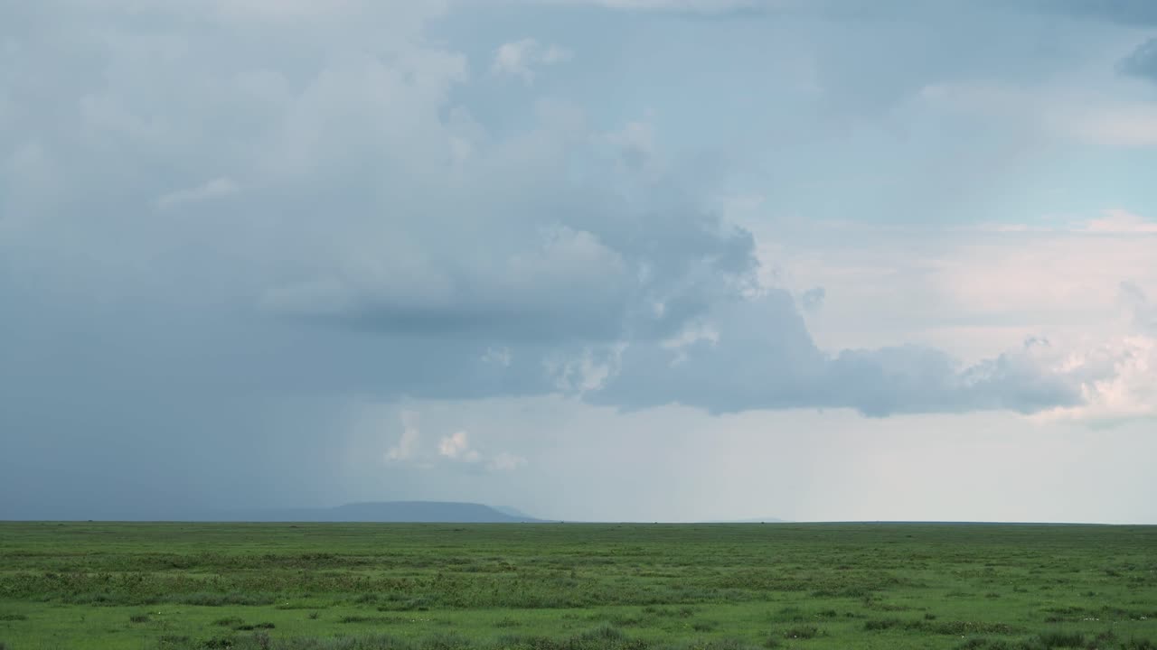 폭풍과 극적인 폭풍 구름, 아프리카의 배경과 평야, 탄자니아의 세렌게티 국립공원, 극적인 하늘을 가진 공간과 지평을 복사합니다.