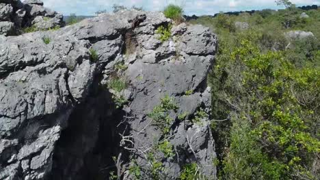 una gran roca revela un paisaje mediterráneo con algarrobos y olivos toma aérea