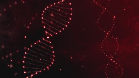 visualización de adn abstracto con datos brillantes en rojo
