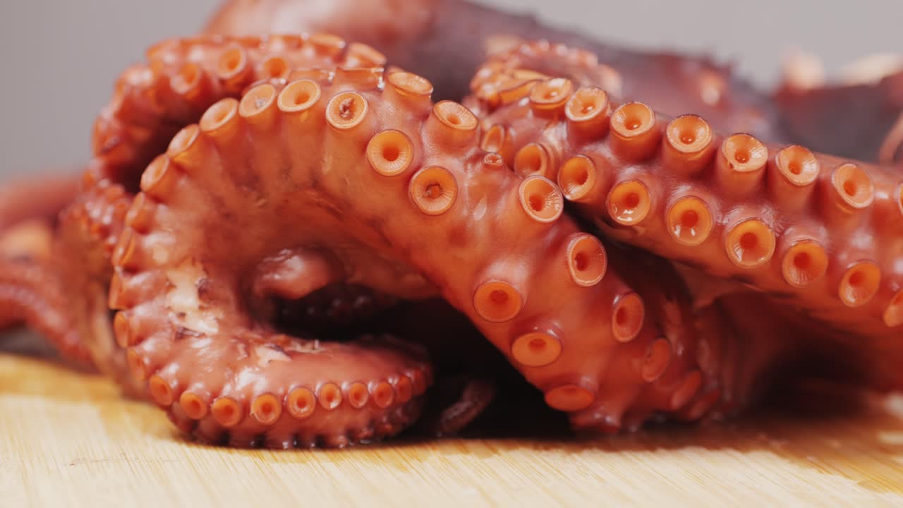 Octopus cooking, chef Boiling fresh octopus on restaurant kitchen, healthy food, seafood cafe in spain, traditional asian japanese spanish and mediterranean dish.