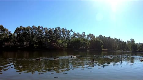 Time-Lapse-at-a-beautiful-lake