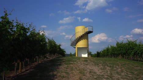 torre de observación en el viñedo werderaner wachtelberg en werder en brandenburgo