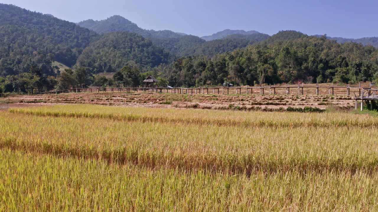 태국 파이의 부온 코 쿠 대나무 다리 위를 날아다니는 낮은 비행 드론  ⁇