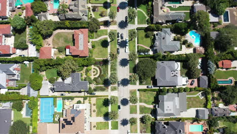 drone shot flying over beauitufl palm tree lined streets with silver, white and black cars driving, the streets surrounded by mansions with swimming pools in west hollywood, los angeles, california