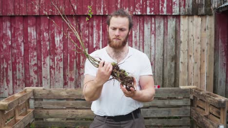 man holding a tree seedling. - medium shot