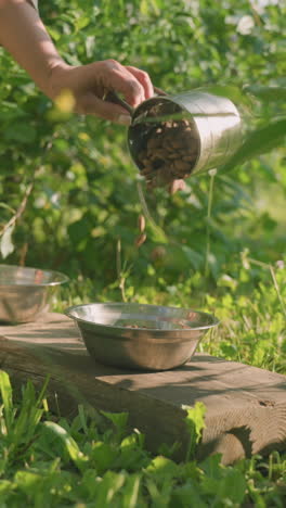 vista parcial de una persona vertiendo alimento para perros en un cuenco de metal al aire libre mientras algunos se derraman sobre la hierba mientras el insecto vuela fuera de la taza, otro cuenco metálico vacío en una tabla, rodeado de exuberante vegetación
