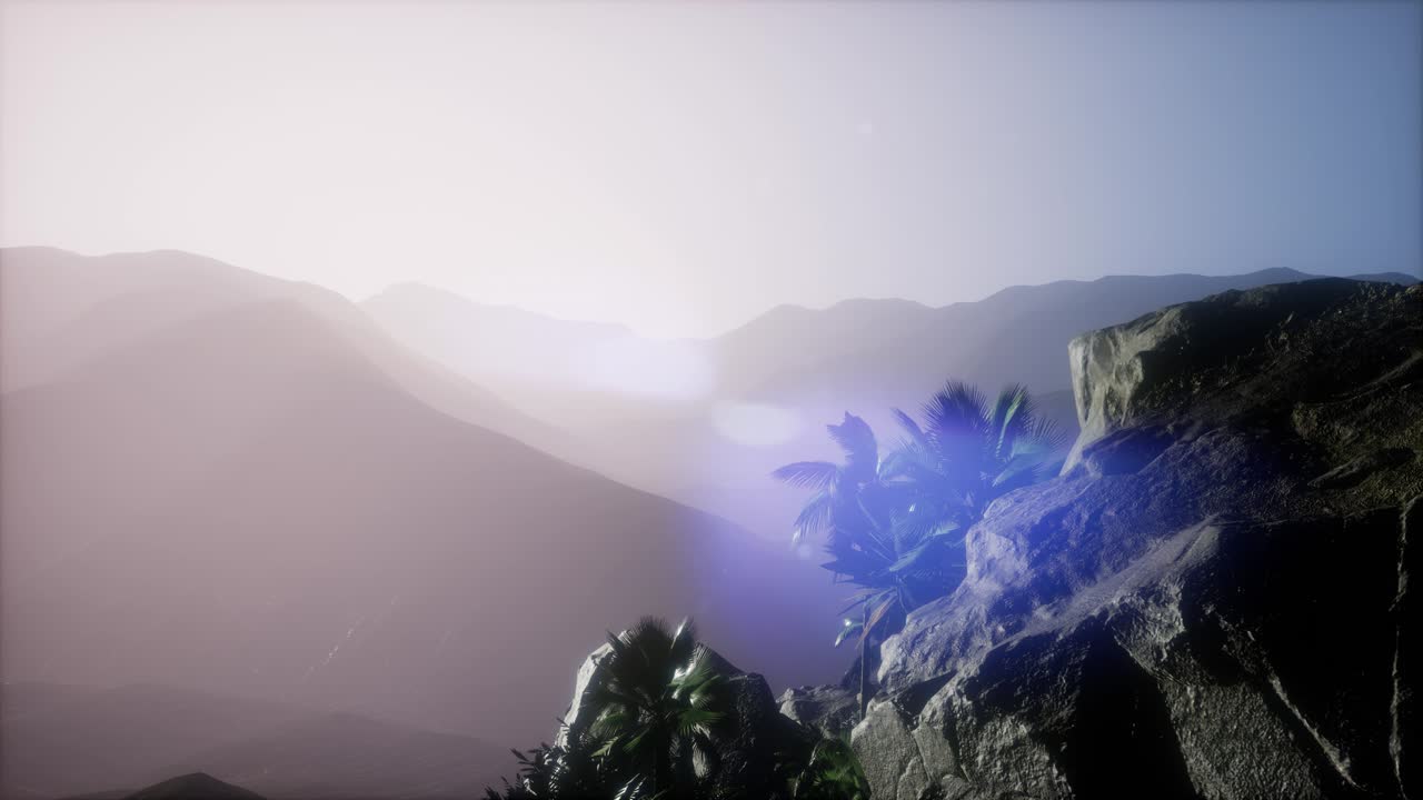 los rayos del atardecer a través de las palmeras