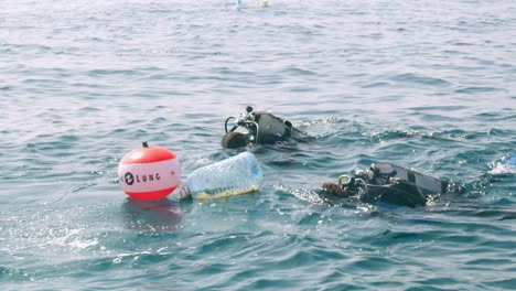 ocean conservancy-volunteer organization protecting environment with scuba divers in the indian ocean, kenya